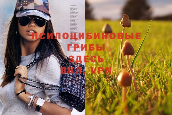 тгк Елабуга
