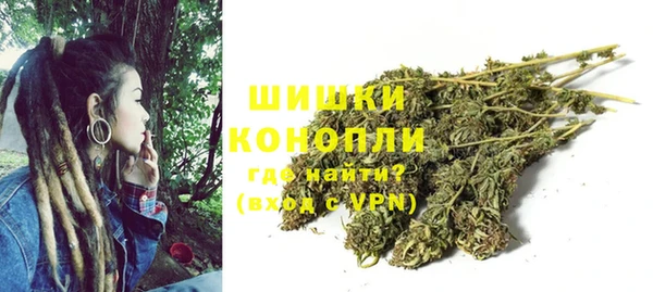 винт Дмитриев